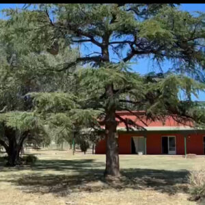 One Room with Bathroom, Smart Tv, 1 Queen Bed, Mini refrigerator with freezer, Wi-Fi. Price is Per Person