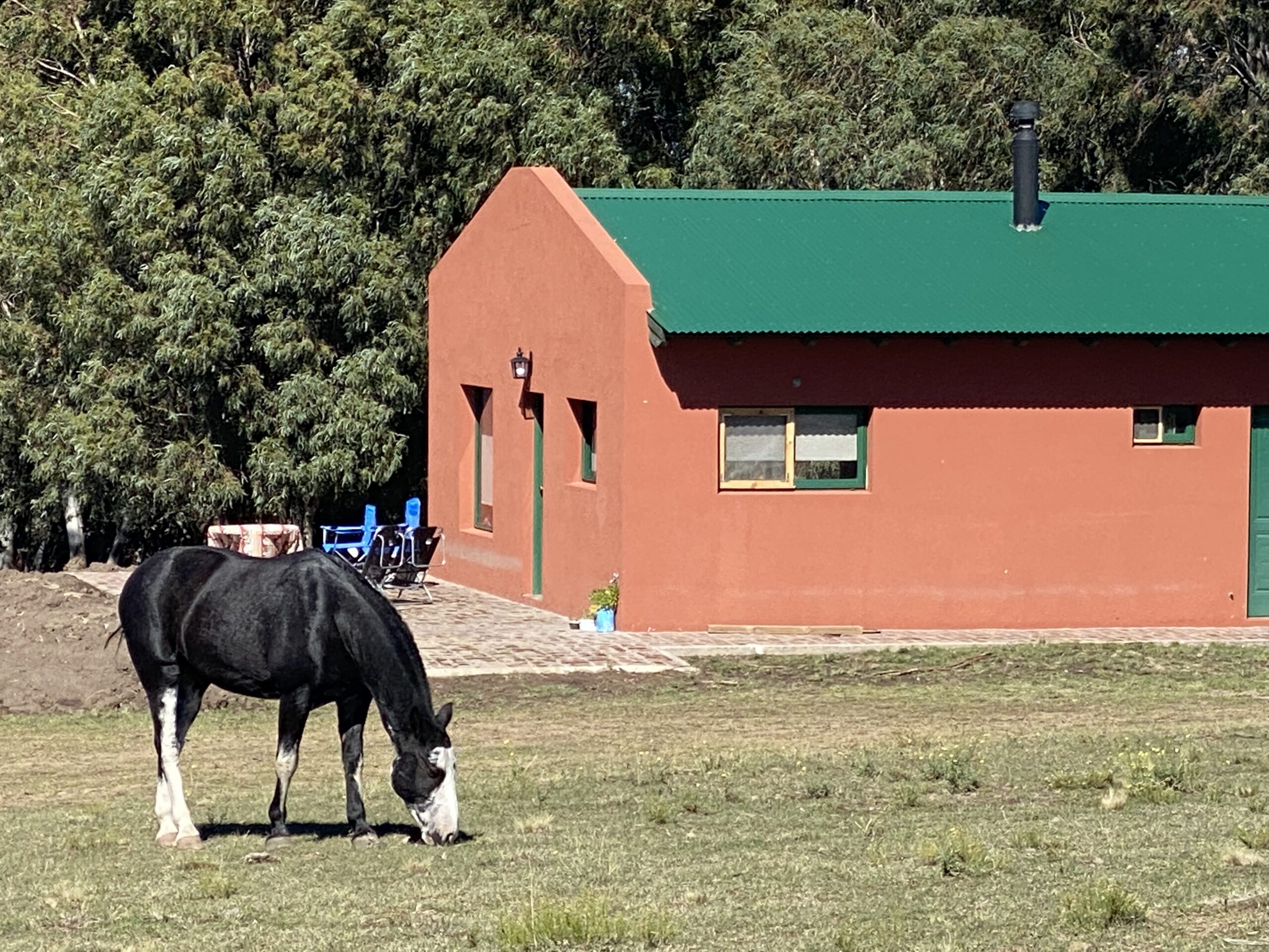 Entire Home, 2 Bedroom, 4Queen Beds