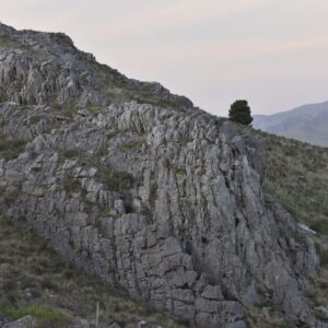 Image 1-16-24 at 7.47 PM