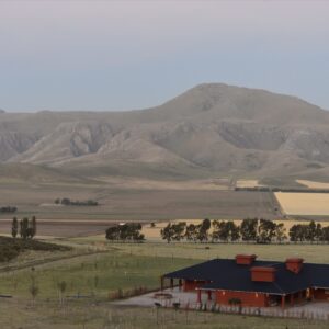 Image 1-16-24 at 7.49 PM